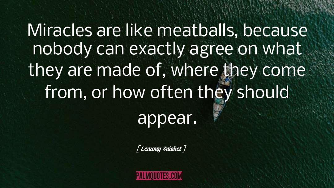 Meatballs quotes by Lemony Snicket