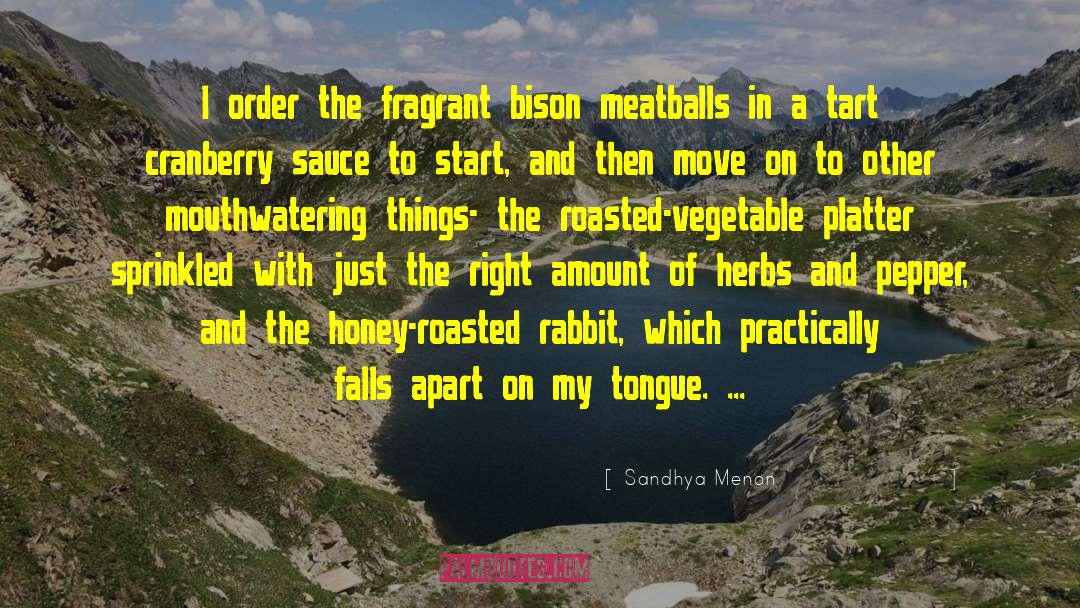 Meatballs quotes by Sandhya Menon