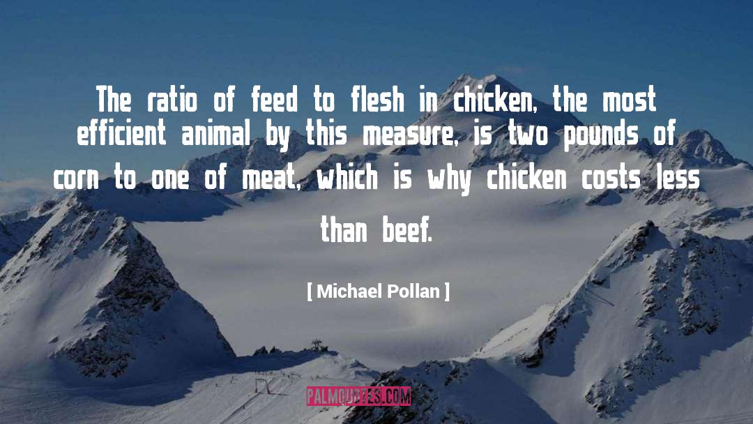 Meatpacking quotes by Michael Pollan