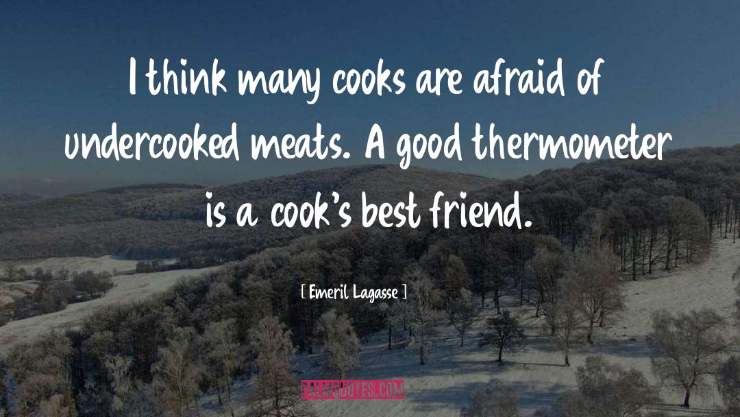 Meats quotes by Emeril Lagasse