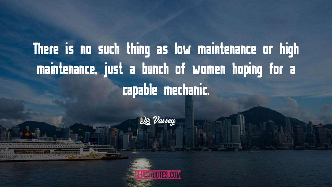 Mechanic quotes by Liz Vassey