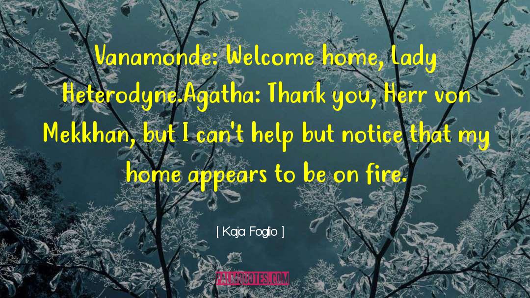 Mechanicsburg Is On Fire quotes by Kaja Foglio