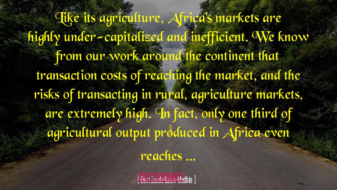 Mechanization In Agriculture quotes by Eleni Zaude Gabre-Madhin