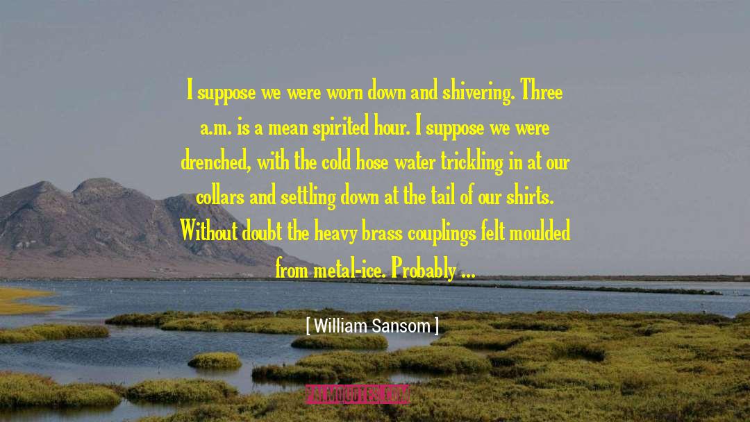 Medaled In Three quotes by William Sansom