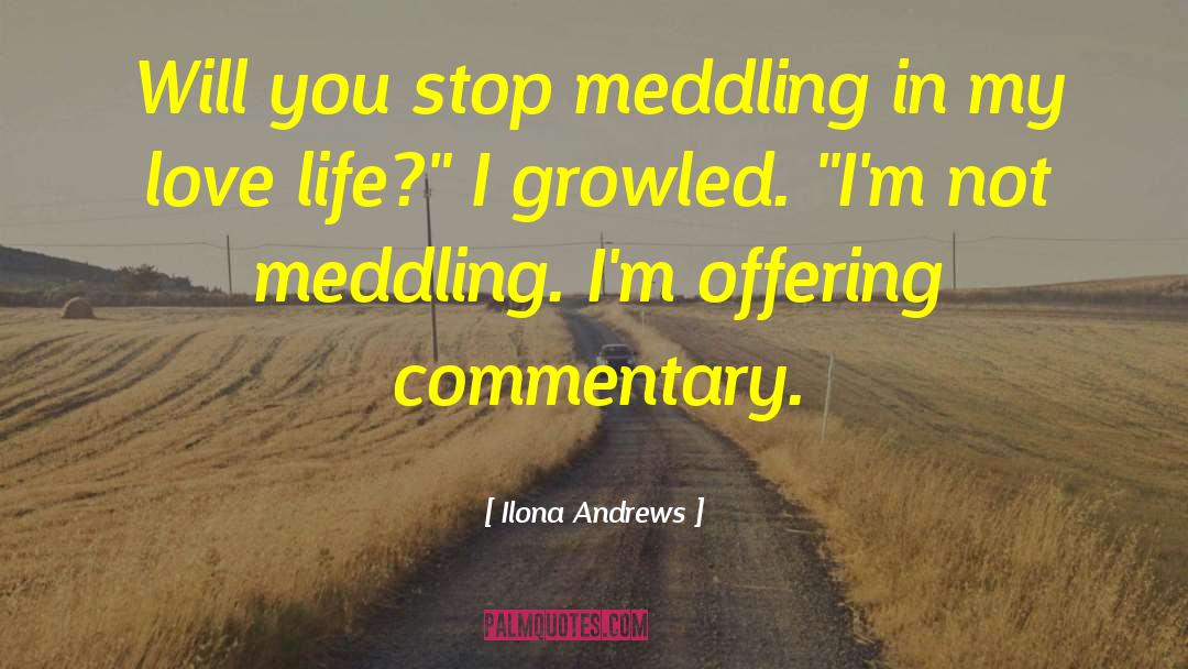 Meddling quotes by Ilona Andrews
