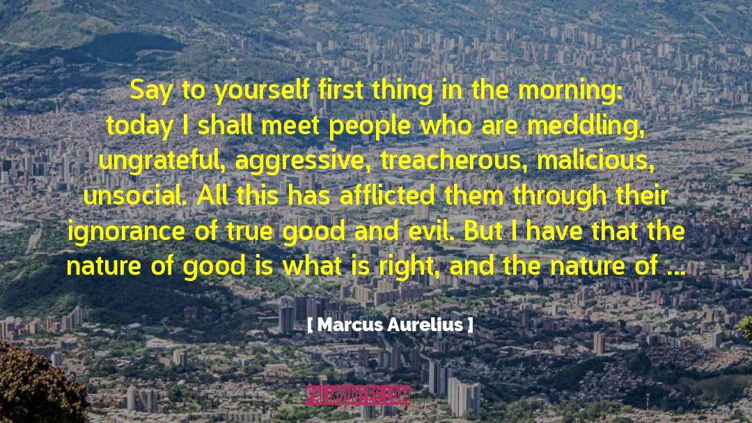 Meddling quotes by Marcus Aurelius