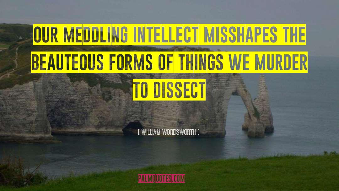 Meddling quotes by William Wordsworth