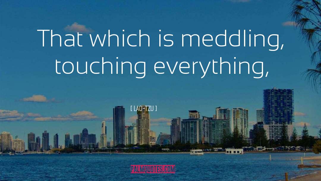 Meddling quotes by Lao-Tzu
