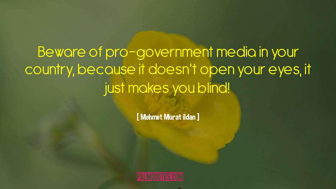 Media Bias quotes by Mehmet Murat Ildan