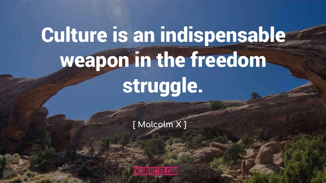 Media Freedom quotes by Malcolm X