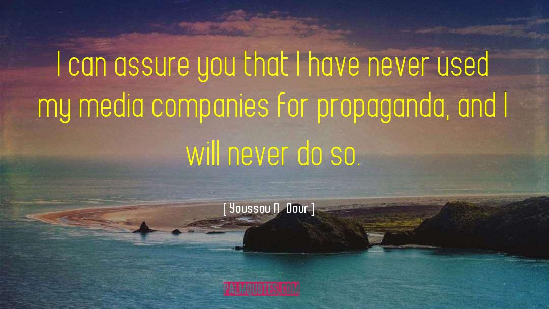 Media Propaganda quotes by Youssou N'Dour