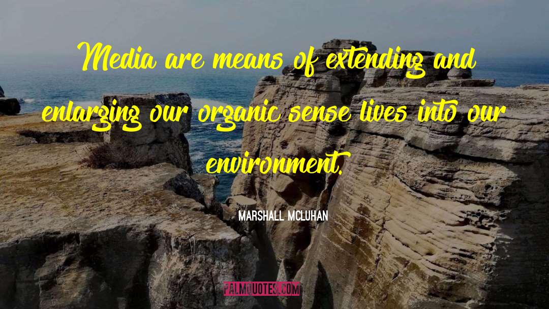 Media Training quotes by Marshall McLuhan