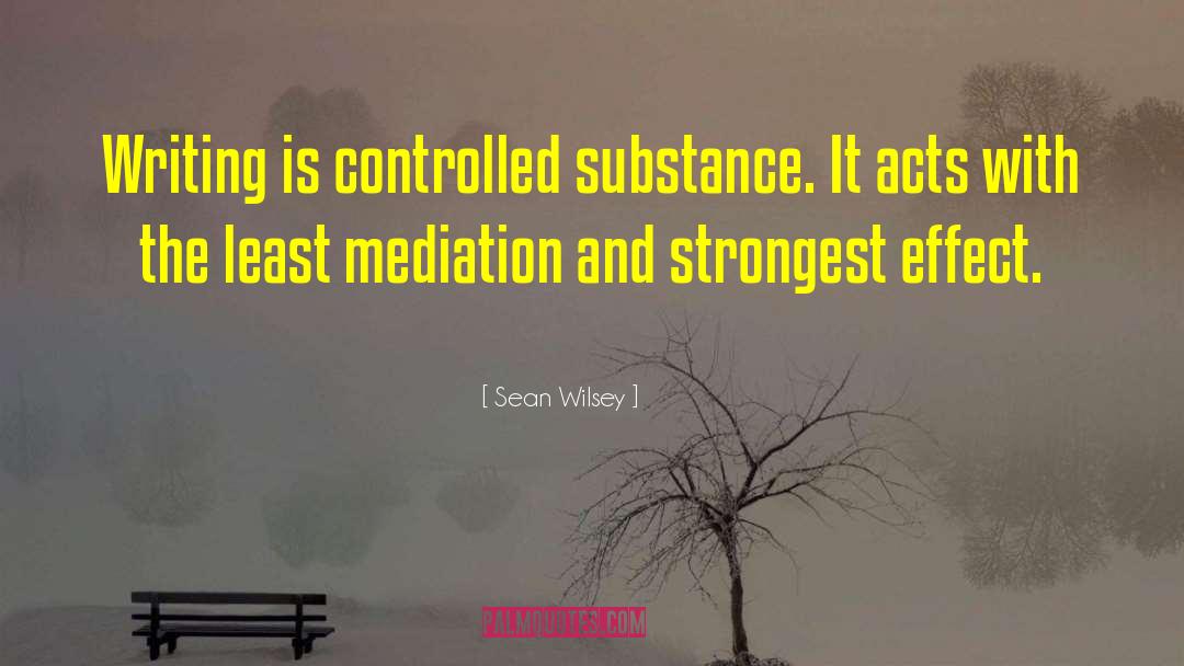 Mediation quotes by Sean Wilsey