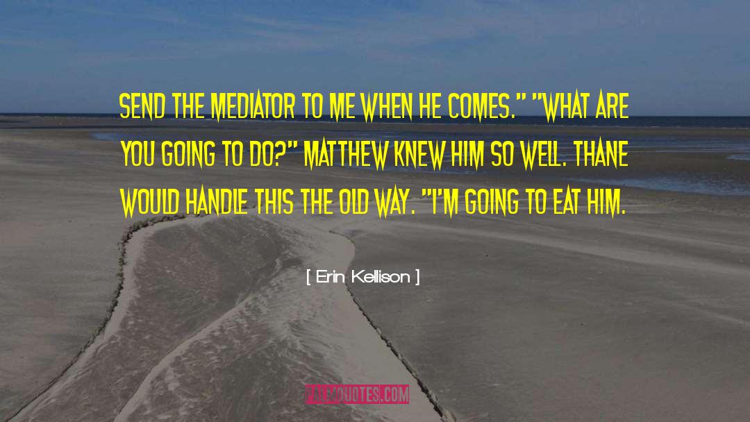 Mediator quotes by Erin Kellison