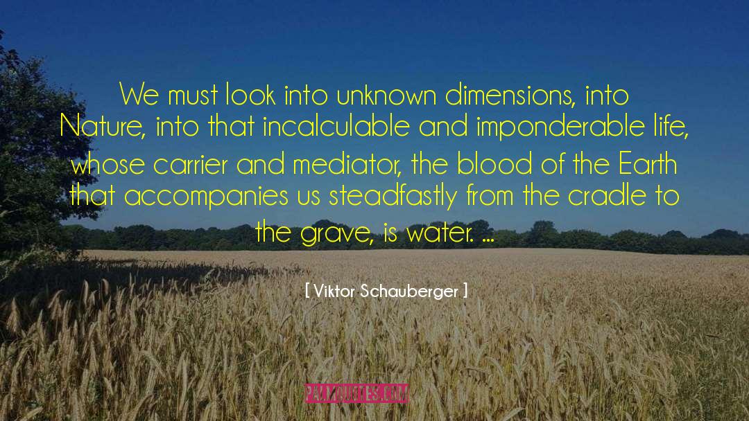 Mediator quotes by Viktor Schauberger