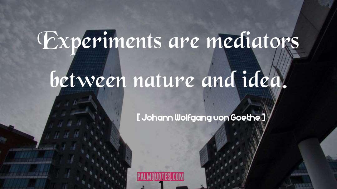 Mediators quotes by Johann Wolfgang Von Goethe