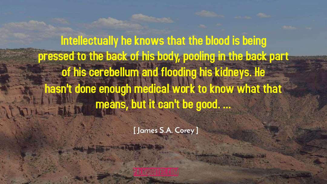 Medical Corruption quotes by James S.A. Corey