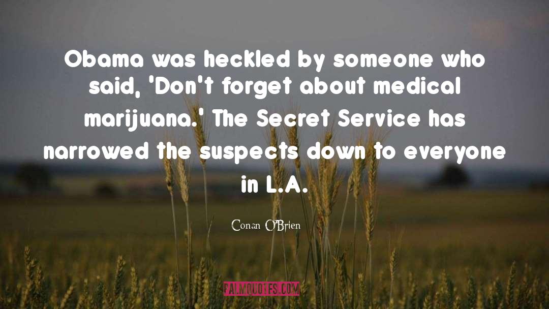 Medical Marijuana quotes by Conan O'Brien