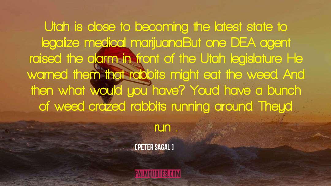 Medical Marijuana quotes by Peter Sagal