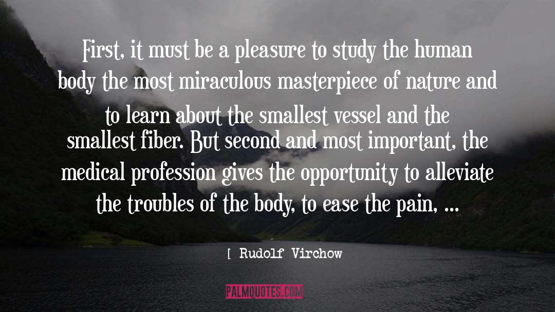 Medical Profession quotes by Rudolf Virchow