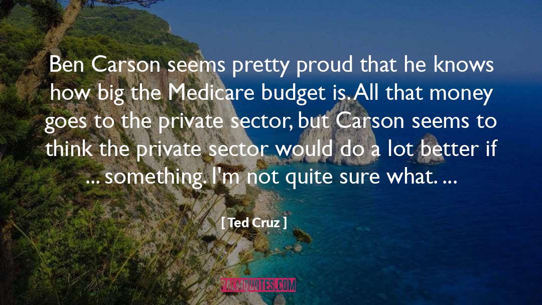 Medicare quotes by Ted Cruz