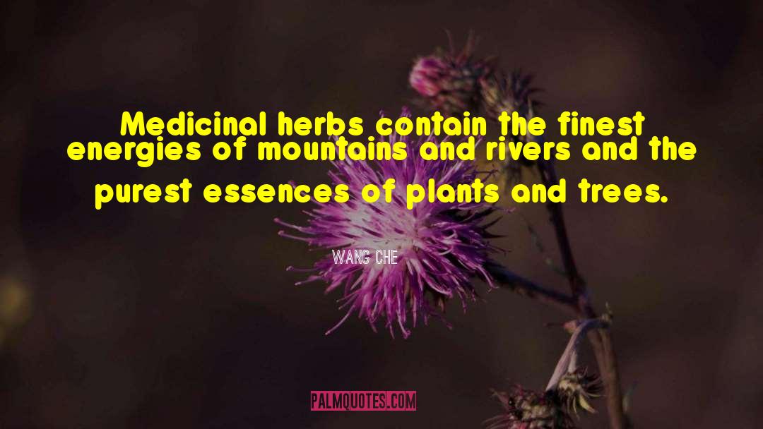 Medicinal Herbs quotes by Wang Che