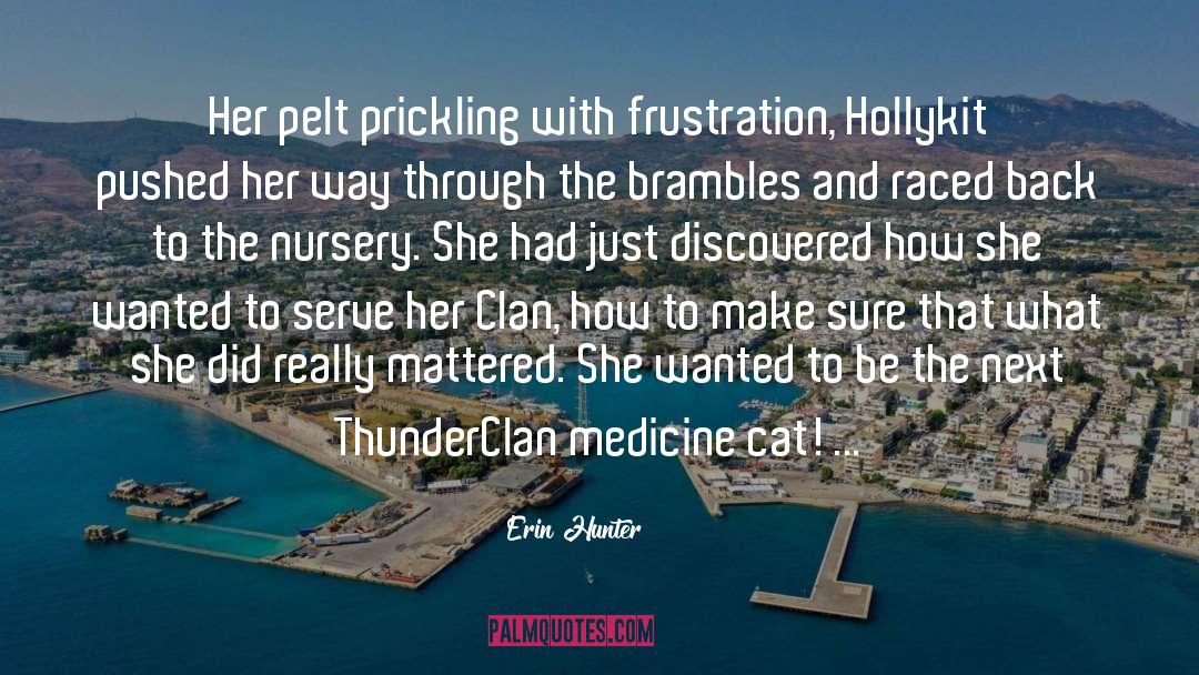Medicine Cat quotes by Erin Hunter