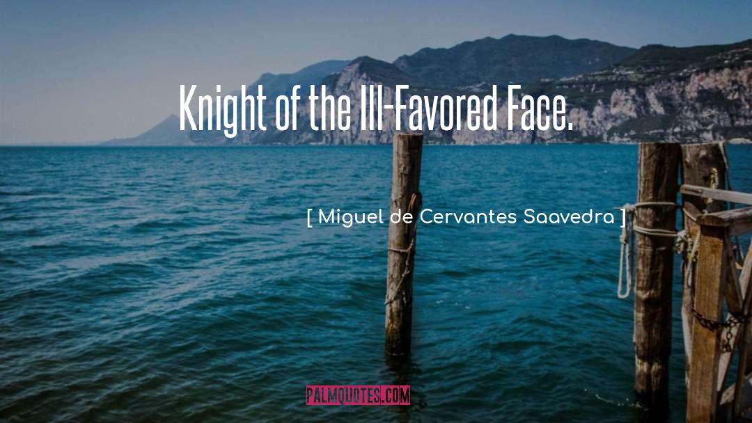 Medieval Knight quotes by Miguel De Cervantes Saavedra