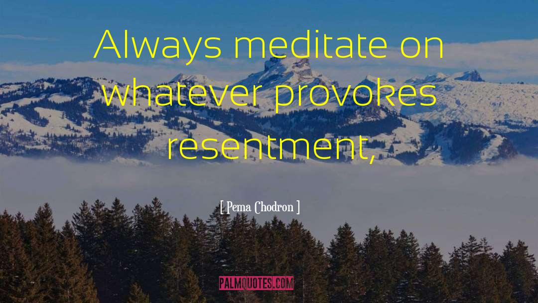 Meditate On quotes by Pema Chodron