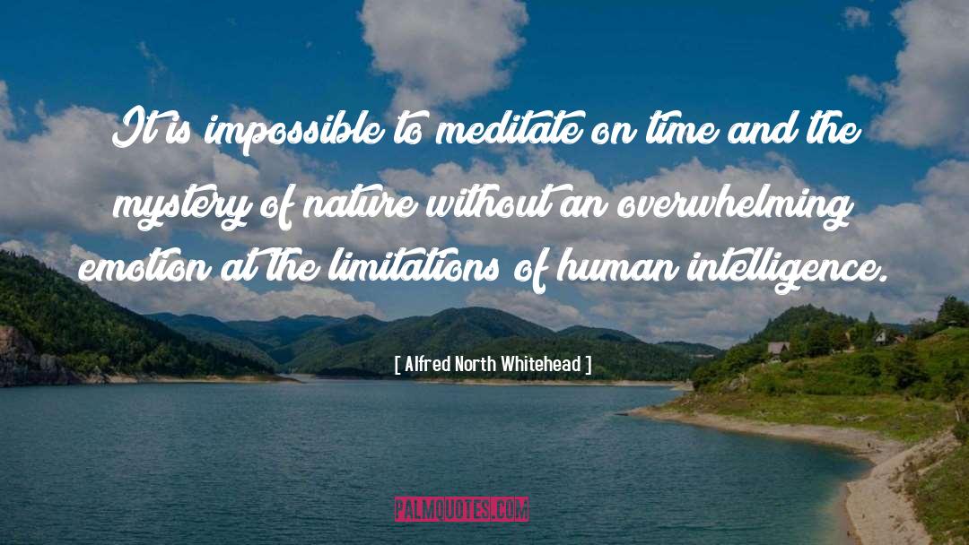 Meditate On quotes by Alfred North Whitehead