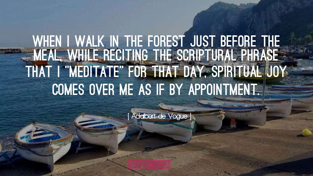 Meditate quotes by Adalbert De Vogue