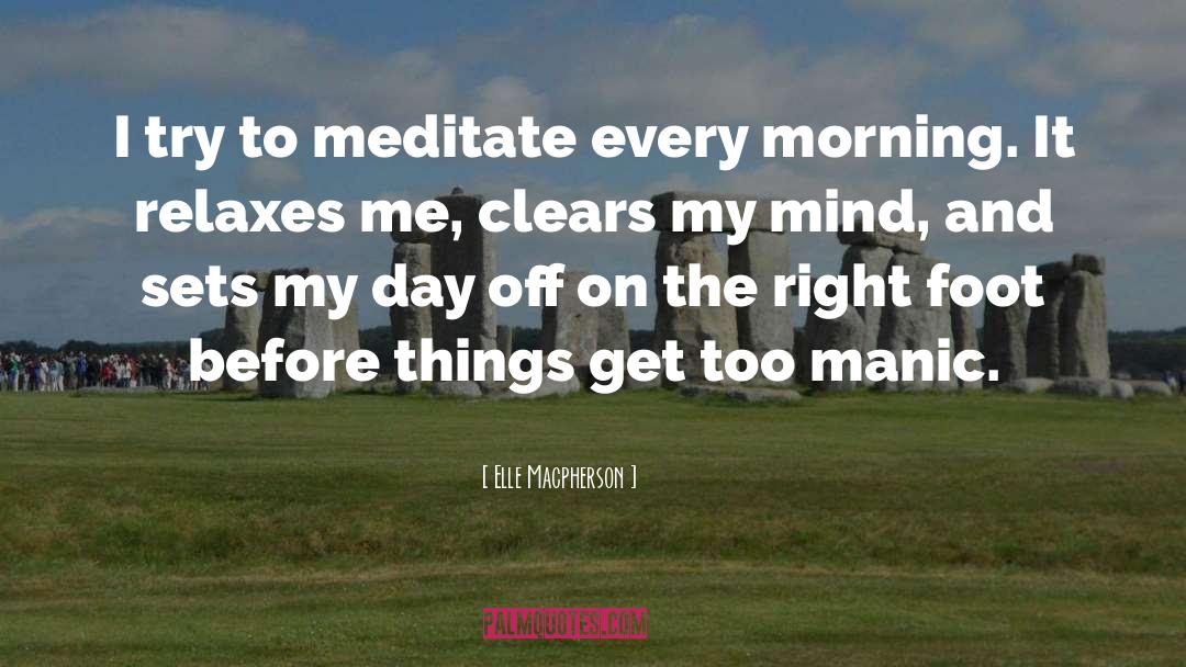 Meditate quotes by Elle Macpherson