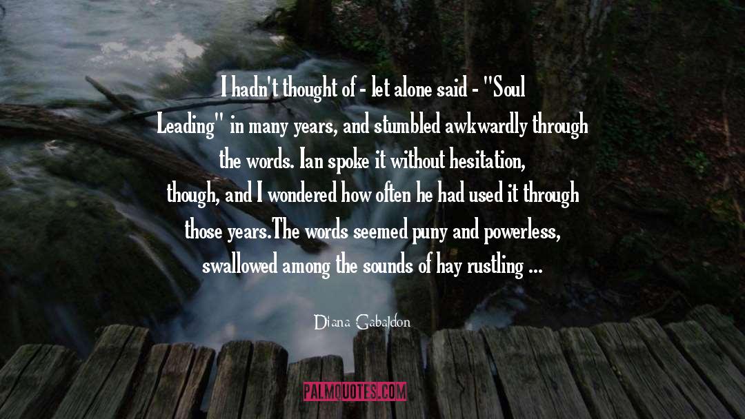 Meditated For Years quotes by Diana Gabaldon