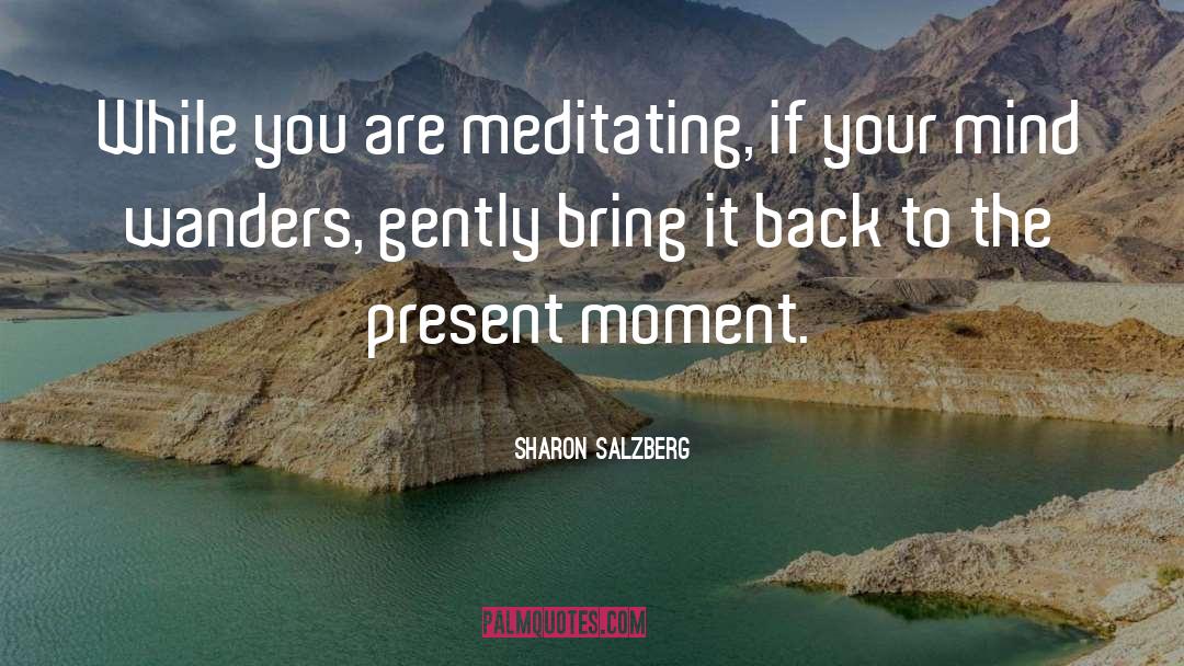 Meditating quotes by Sharon Salzberg