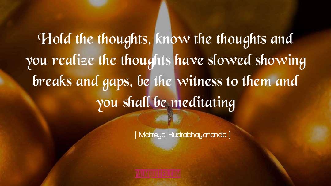 Meditating quotes by Maitreya Rudrabhayananda