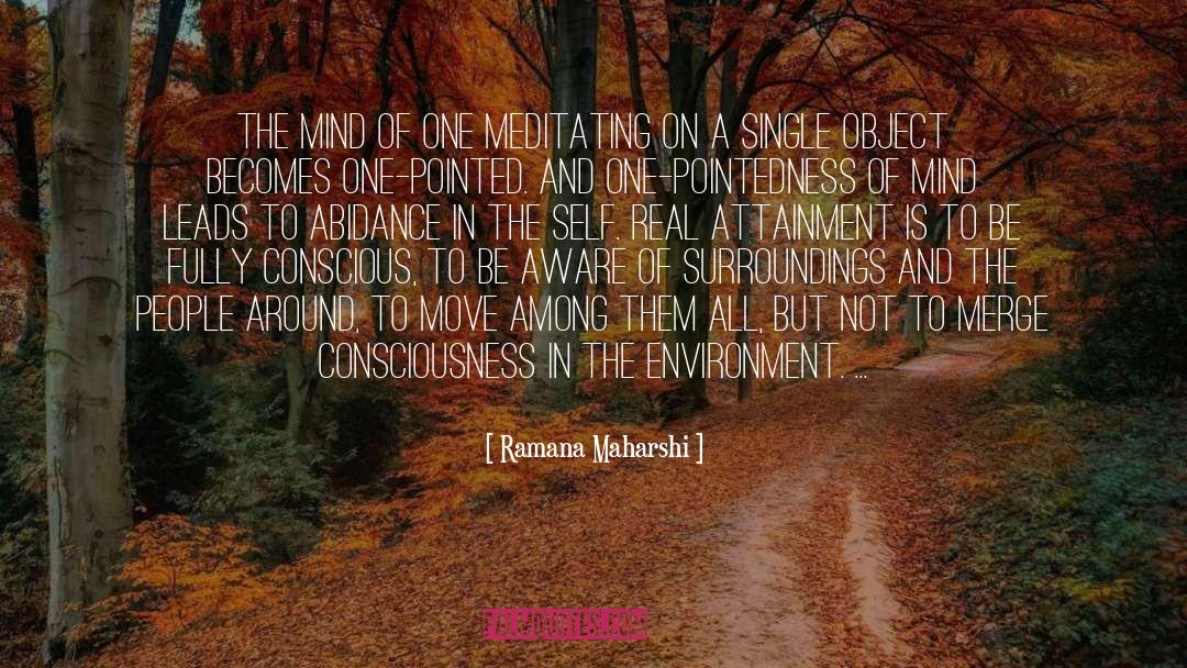 Meditating quotes by Ramana Maharshi