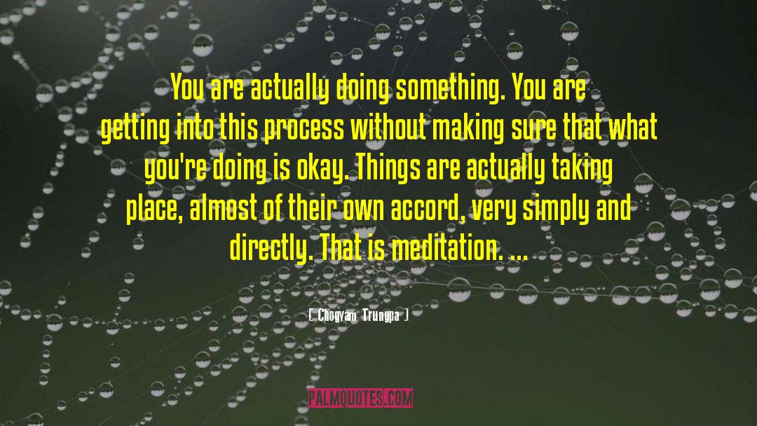 Meditation Instruction quotes by Chogyam Trungpa