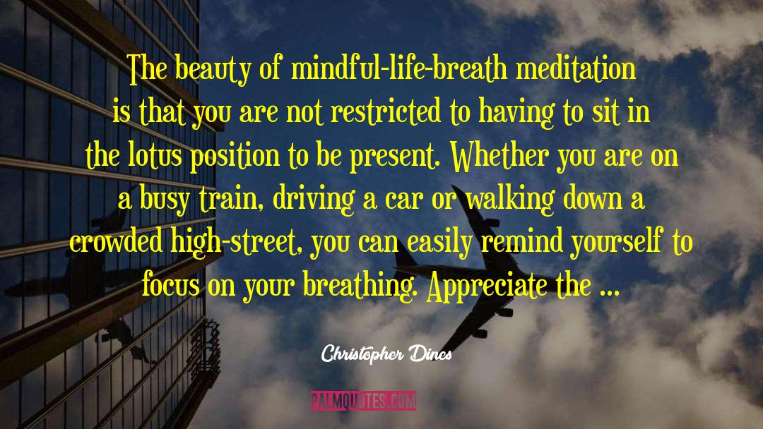 Meditation Journey quotes by Christopher Dines