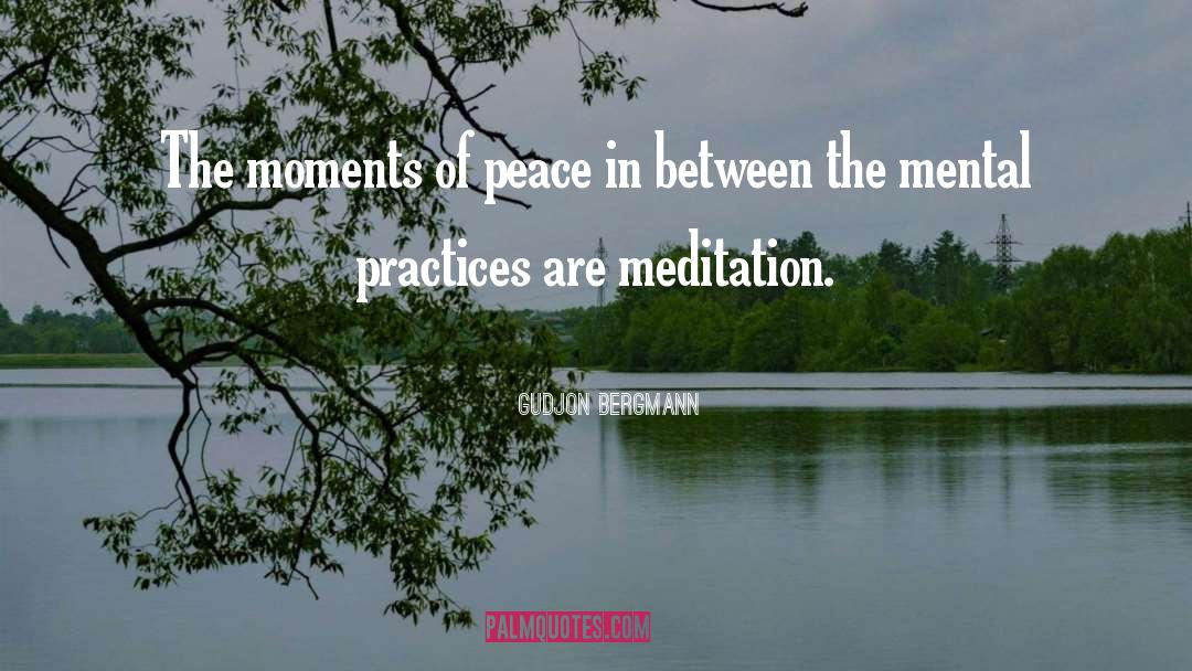 Meditation Meditation quotes by Gudjon Bergmann