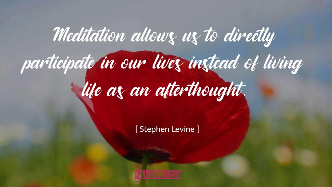 Meditation Mind quotes by Stephen Levine