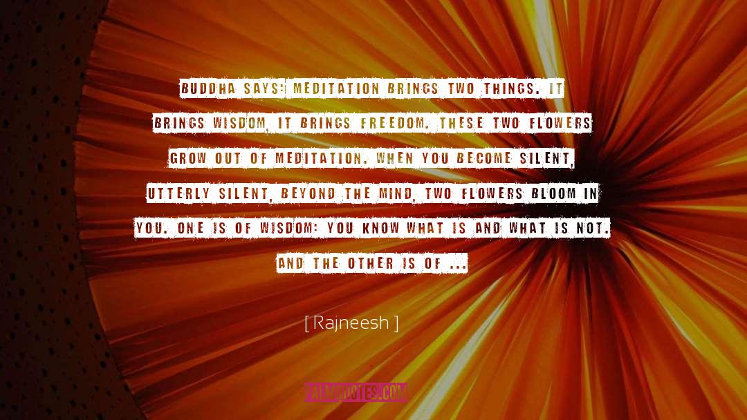 Meditation Mind quotes by Rajneesh