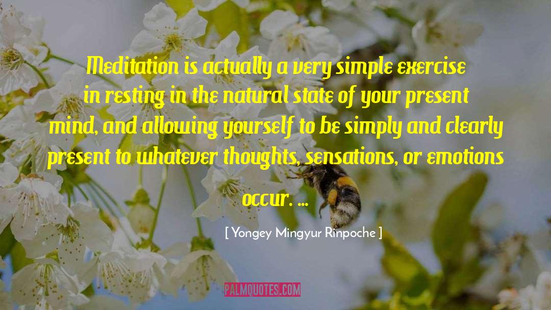 Meditation Mind quotes by Yongey Mingyur Rinpoche