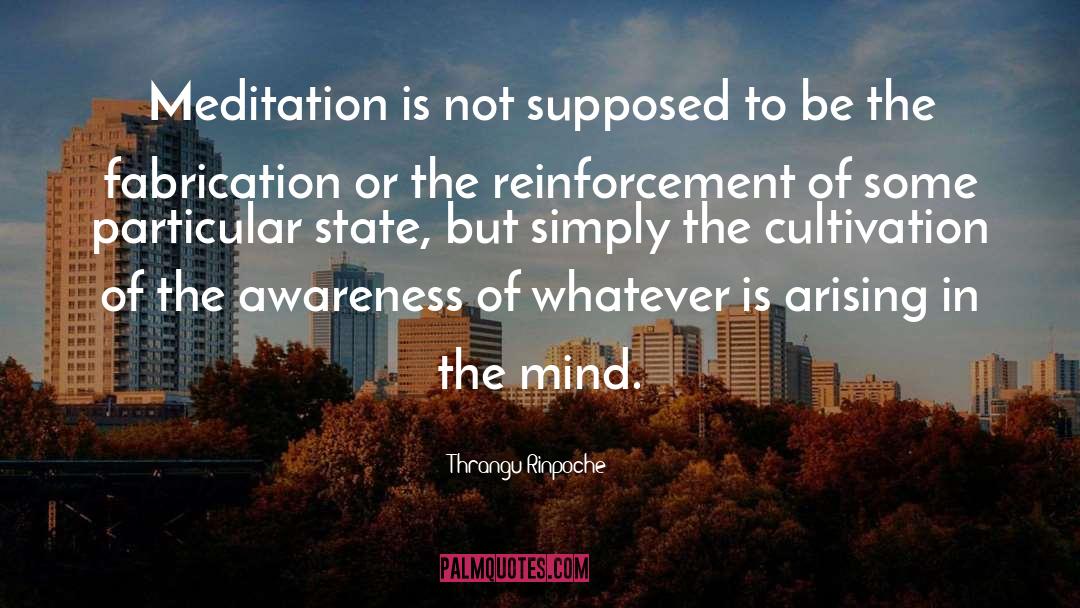 Meditation Mind quotes by Thrangu Rinpoche