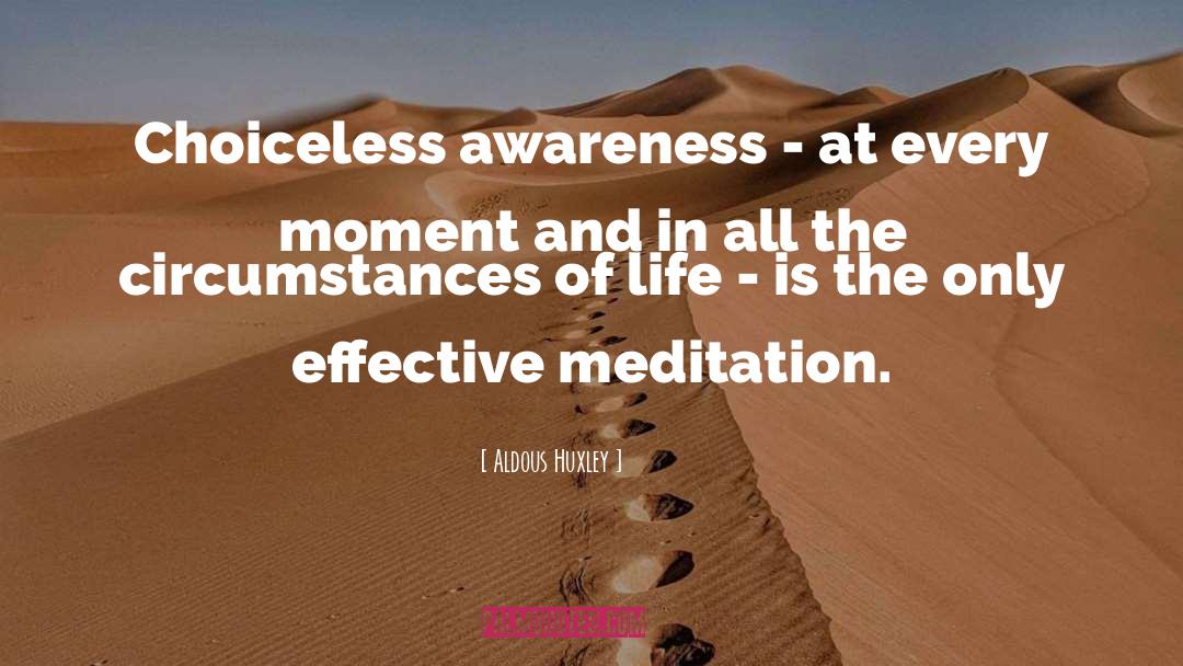 Meditation Mindfulness quotes by Aldous Huxley
