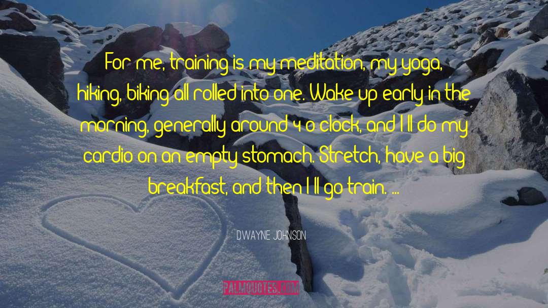 Meditation On Mortality quotes by Dwayne Johnson