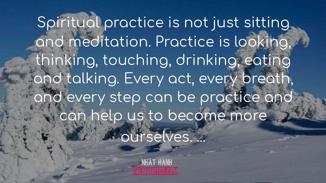 Meditation Practice quotes by Nhat Hanh