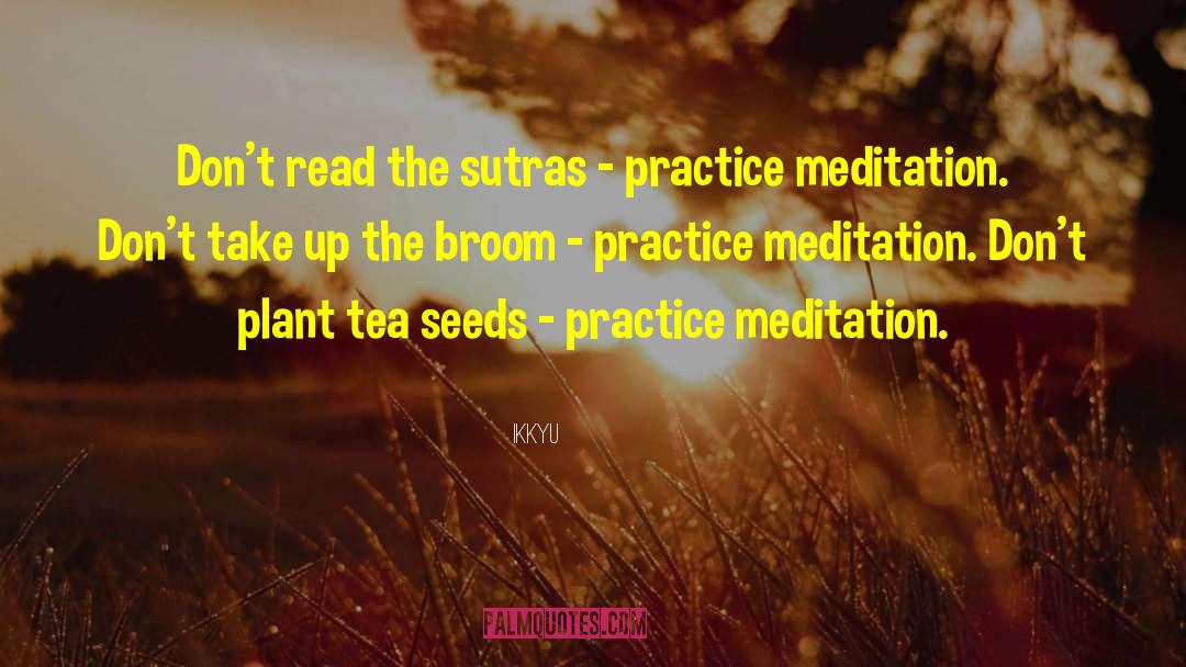 Meditation Practice quotes by Ikkyu