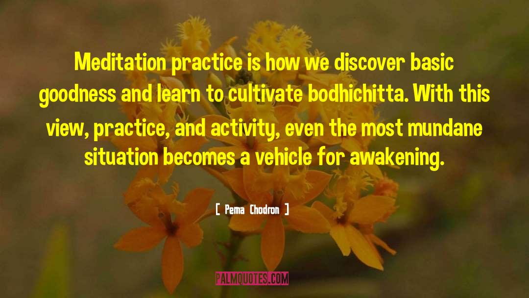 Meditation Practice quotes by Pema Chodron