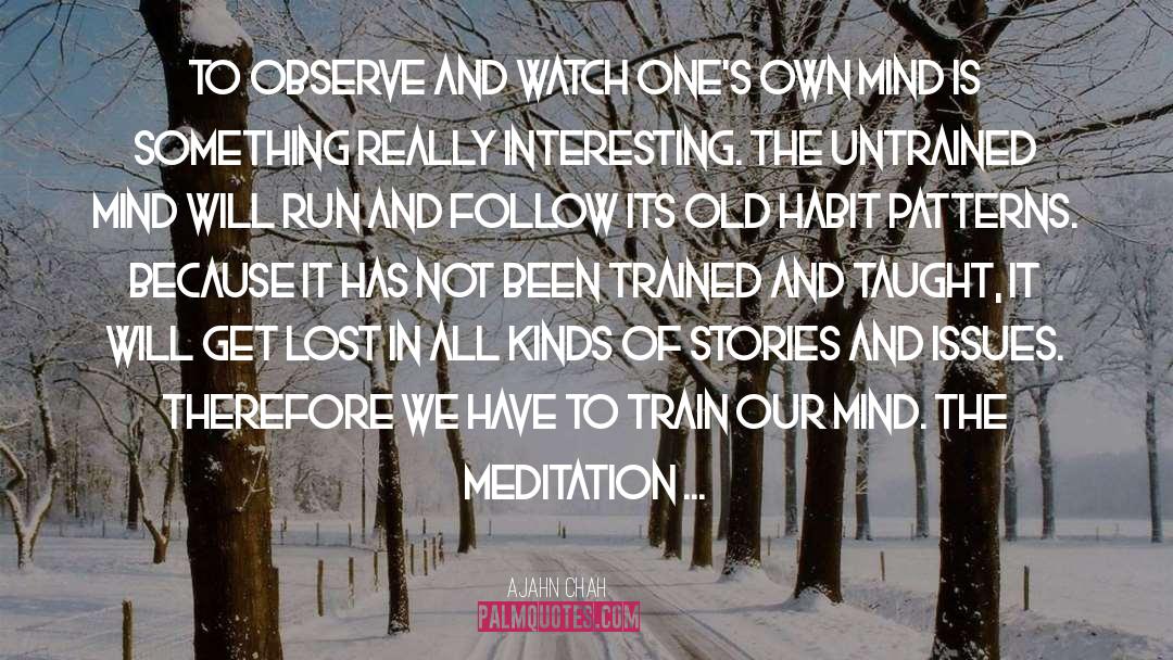 Meditation Practice quotes by Ajahn Chah
