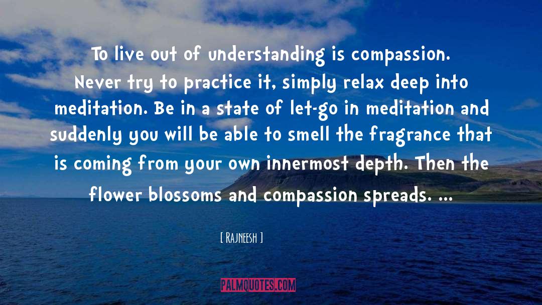 Meditation Practice quotes by Rajneesh